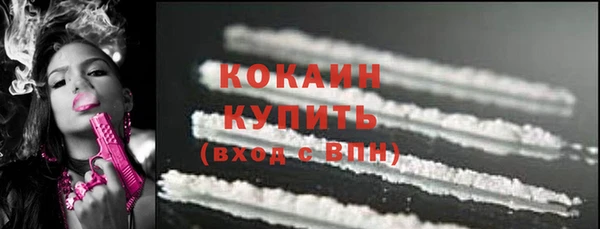 шишки Вязьма